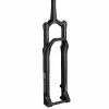 Dt-swiss Fourche DT SWISS F 232 ONE 29" 110 Mm Remote Pivot Conique Axe 15 Mm Boost Déport 51 Mm Noir Mat -VTT Semi-Rigides grand magasin 600x600 194945 15831608893126